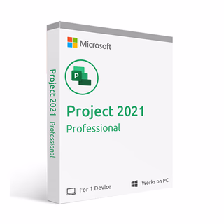 Project 2021 Professional