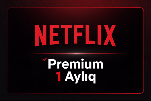 Netflix otaq 1 aylıq