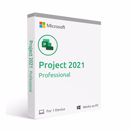 Project 2021 Professional