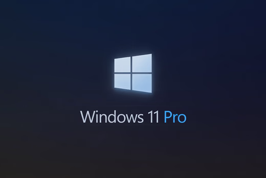 Windows 10/11 Pro lisenziyası